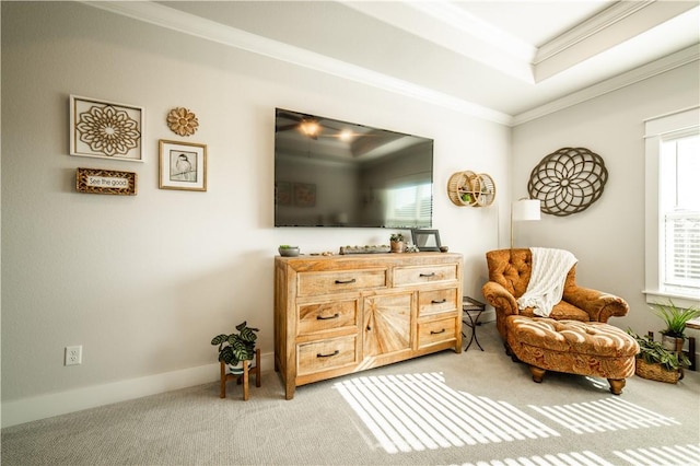 living area with ornamental molding, a raised ceiling, and carpet