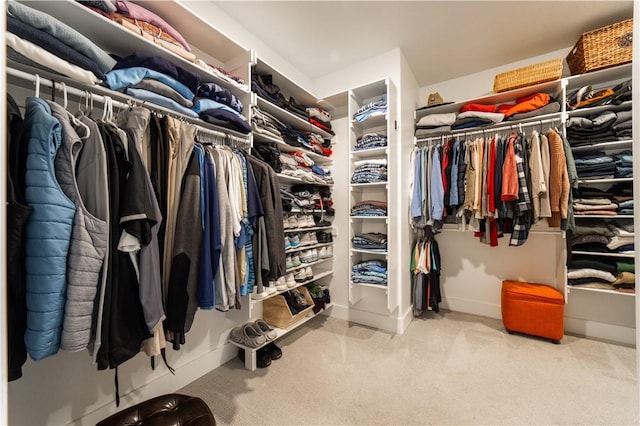 spacious closet with carpet floors