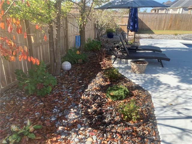 view of yard featuring a patio