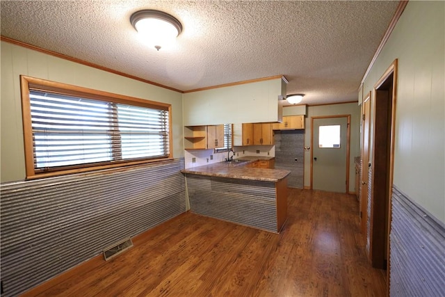 kitchen featuring sink, crown molding, a textured ceiling, dark hardwood / wood-style flooring, and kitchen peninsula