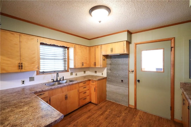 kitchen featuring sink, crown molding, wood-type flooring, and a textured ceiling