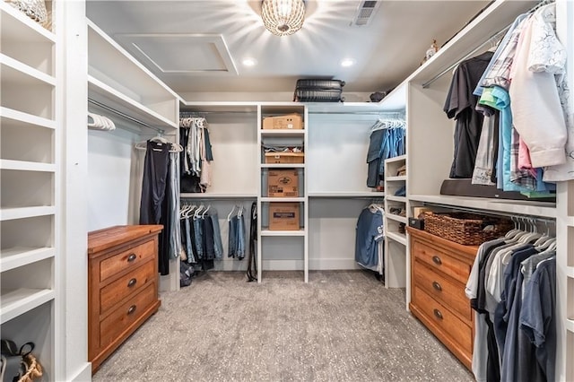 walk in closet with light colored carpet