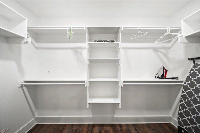 spacious closet with dark hardwood / wood-style flooring