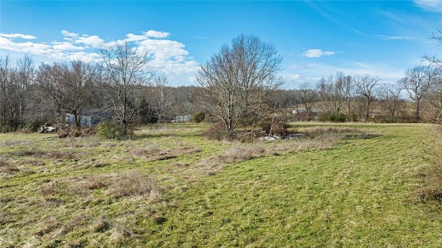 view of yard featuring a rural view