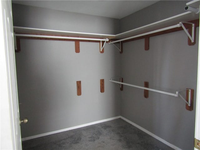 walk in closet featuring dark carpet