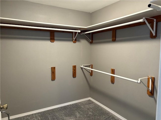 spacious closet with carpet