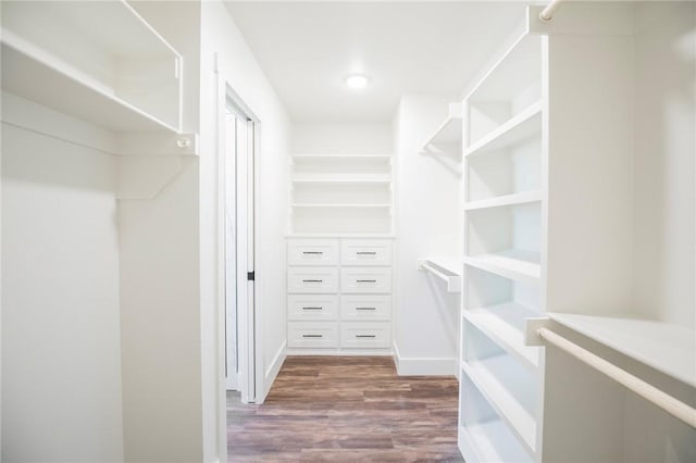 spacious closet featuring hardwood / wood-style flooring