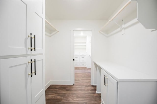 spacious closet featuring dark hardwood / wood-style floors