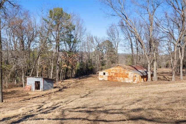 view of yard featuring a storage shed