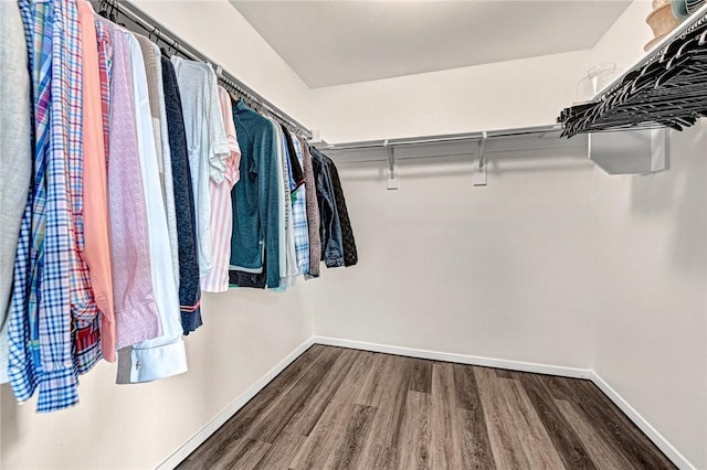 walk in closet with hardwood / wood-style flooring