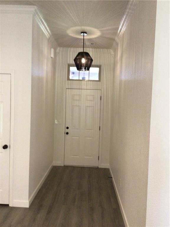 doorway to outside with crown molding and dark wood-type flooring