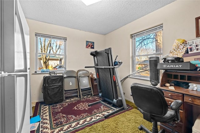 office space featuring a healthy amount of sunlight, a textured ceiling, and carpet flooring