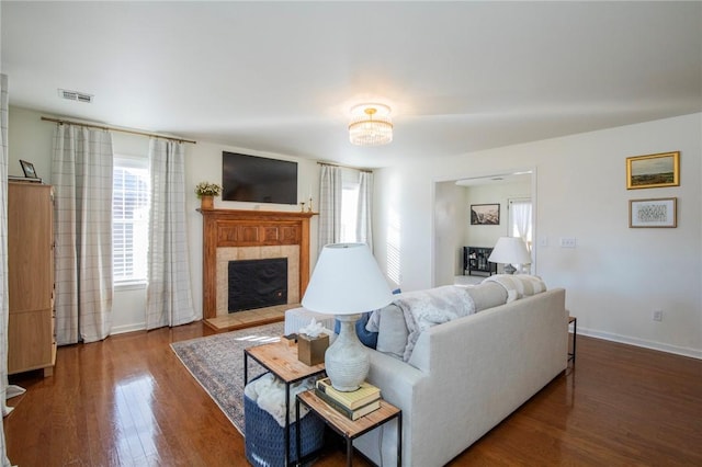 living room featuring a fireplace and wood-type flooring