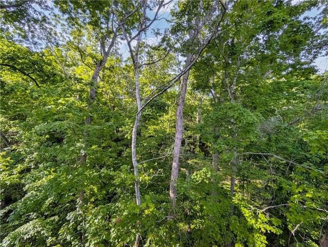 17 Burnham Dr, Bella Vista, AR 72715 - view of woods
