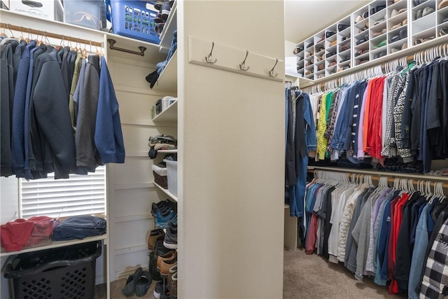 spacious closet with carpet floors