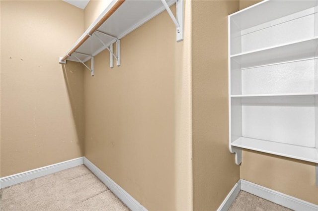 spacious closet featuring carpet flooring