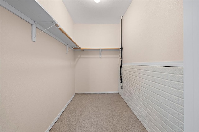 walk in closet with carpet flooring