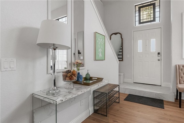 foyer with wood-type flooring and a high ceiling