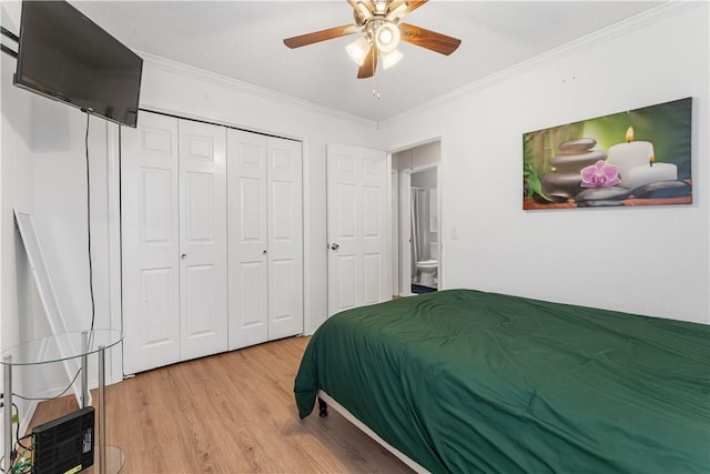 bedroom with crown molding, light wood-type flooring, ceiling fan, and a closet