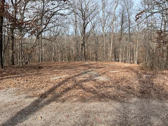 Listing photo 2 for LOT15BLOCK2 Deal Ln, Bella Vista AR 72714