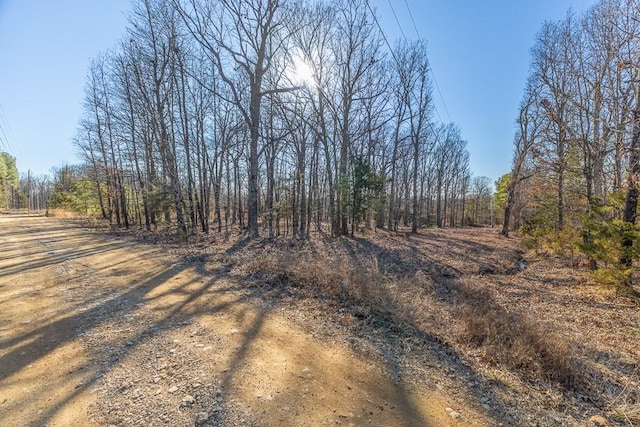 view of local wilderness