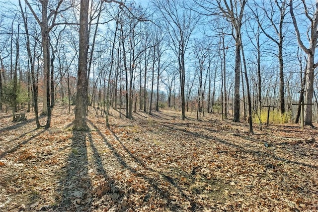 view of landscape