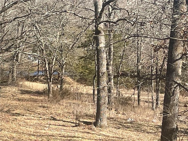 view of landscape