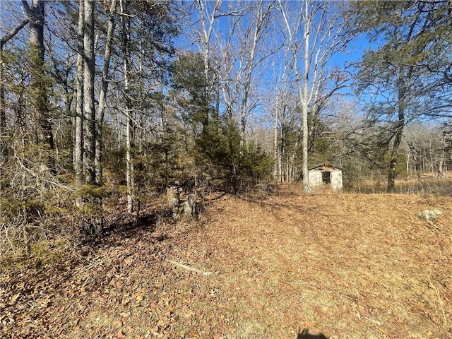 view of yard featuring a shed