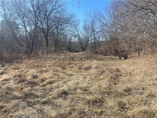 view of local wilderness