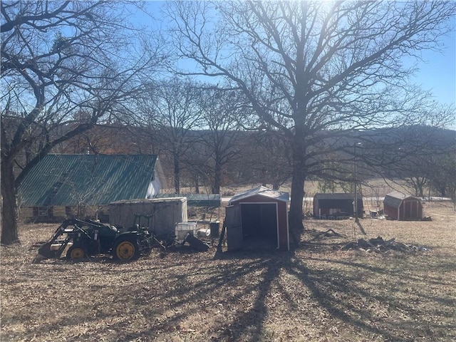 view of yard featuring a shed