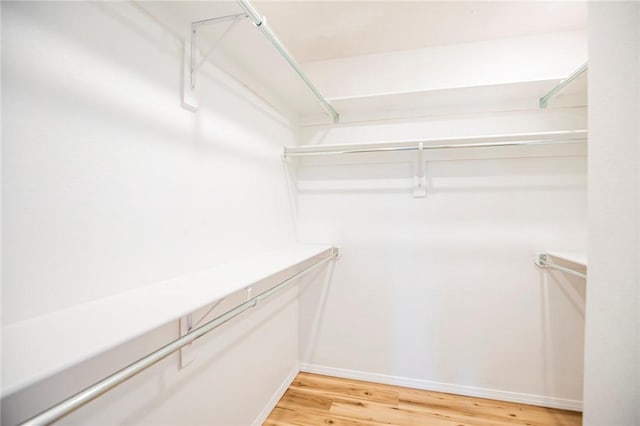 spacious closet featuring wood-type flooring