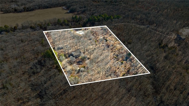 18500 Parks Cemetery Rd, Winslow, AR 72959 - photo 21