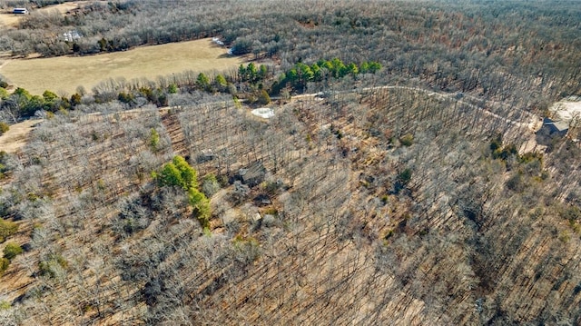 18500 Parks Cemetery Rd, Winslow, AR 72959 - photo 23