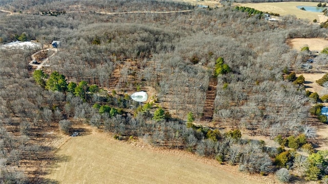 18500 Parks Cemetery Rd, Winslow, AR 72959 - photo 24