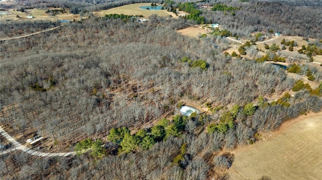 18500 Parks Cemetery Rd, Winslow, AR 72959 - photo 25