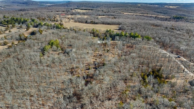 18500 Parks Cemetery Rd, Winslow, AR 72959 - photo 26