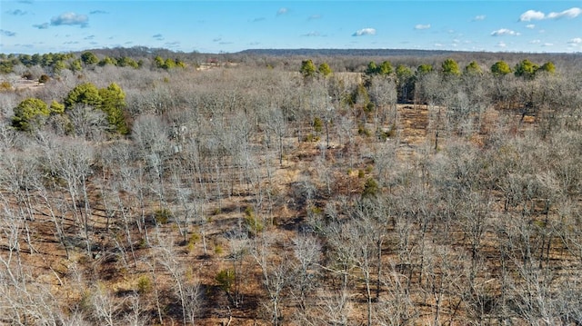 18500 Parks Cemetery Rd, Winslow, AR 72959 - photo 28