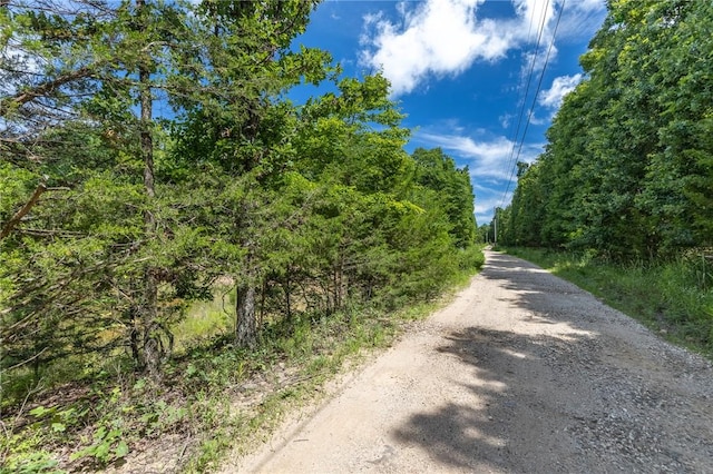 18500 Parks Cemetery Rd, Winslow, AR 72959 - photo 5