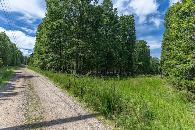 18500 Parks Cemetery Rd, Winslow, AR 72959 - photo 6