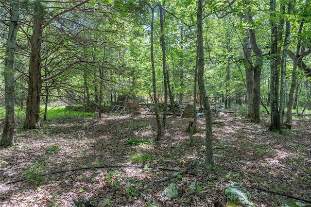 18500 Parks Cemetery Rd, Winslow, AR 72959 - photo 7