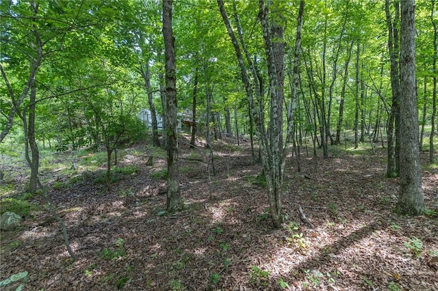 18500 Parks Cemetery Rd, Winslow, AR 72959 - photo 8