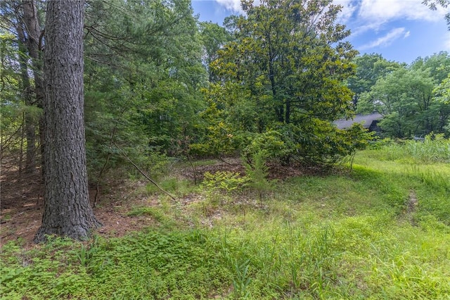 18500 Parks Cemetery Rd, Winslow, AR 72959 - photo 10