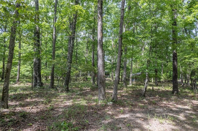 18500 Parks Cemetery Rd, Winslow, AR 72959 - photo 12