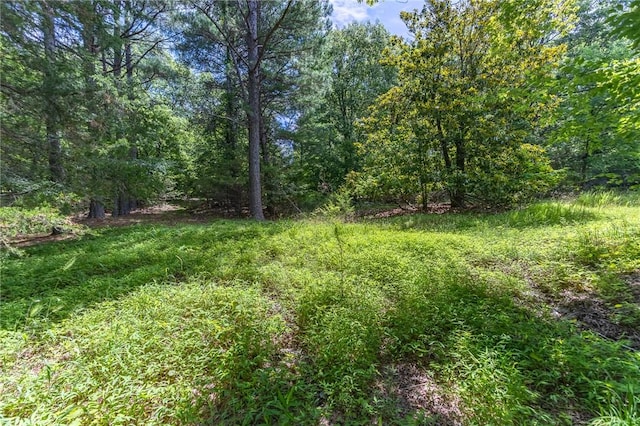 18500 Parks Cemetery Rd, Winslow, AR 72959 - photo 13