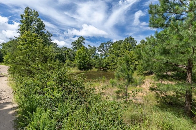 18500 Parks Cemetery Rd, Winslow, AR 72959 - photo 16