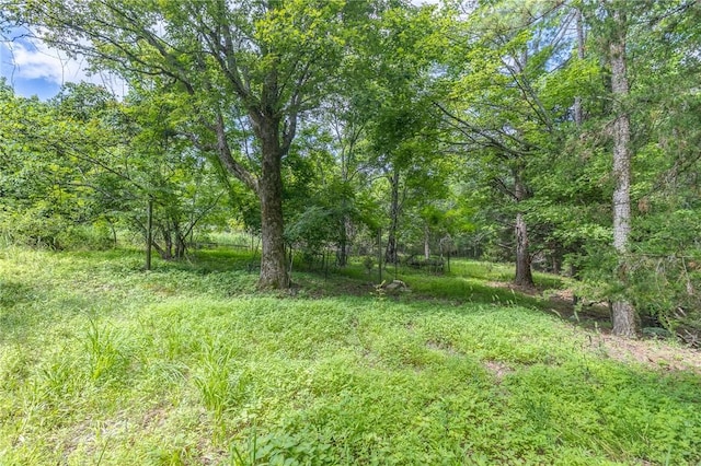 18500 Parks Cemetery Rd, Winslow, AR 72959 - photo 17