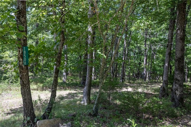 18500 Parks Cemetery Rd, Winslow, AR 72959 - photo 18