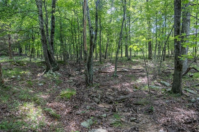 18500 Parks Cemetery Rd, Winslow, AR 72959 - photo 19