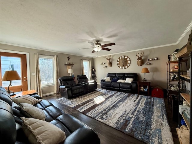 living room featuring dark hardwood / wood-style flooring, crown molding, and ceiling fan