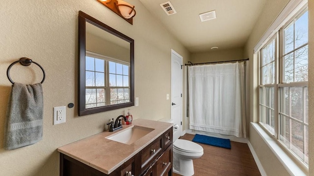 bathroom featuring hardwood / wood-style flooring, vanity, and toilet